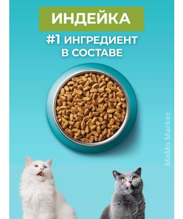 PURINA ONE Feed for cats 0.75 kg for digestion with turkey - Buy Online on GoSupps.com