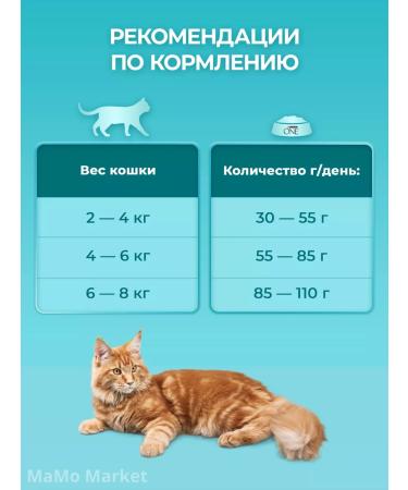 PURINA ONE Feed for cats 0.75 kg for digestion with turkey - Buy Online on GoSupps.com