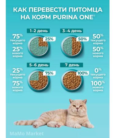 PURINA ONE Feed for cats 0.75 kg for digestion with turkey - Buy Online on GoSupps.com
