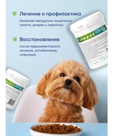 Sub-Pro Forte Probiotic for cats and dogs fodder additive vitamins 300g - Buy Online on GoSupps.com