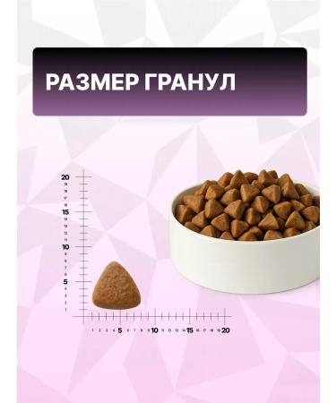 GRAND PRIX Dry food for cats with a turkey 1.5 kg - Buy Online on GoSupps.com