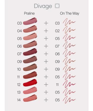 DIVAGE Lipstick for lips cream praline tone 11 cold berry - Buy Online on GoSupps.com
