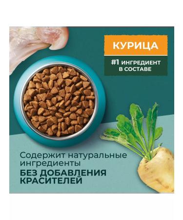 PURINA ONE CAT 'Nature of Health' Spirulin and Chicken 180 g 5 pcs - Buy Online on GoSupps.com