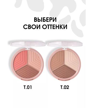 Stellary Facial circuit powder sculptor highlighter Face Sculptor 02 - Buy Online on GoSupps.com