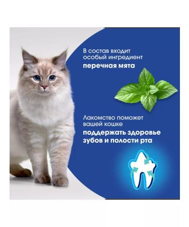 PERFECT FIT Cat a treat for Oral Care chicken mint 7pcs 50g - Buy Online on GoSupps.com