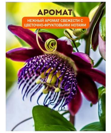 POCUS Hair shampoo soft packaging 1000 ml - Buy Online on GoSupps.com