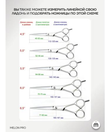 Hairdressing scissors Hairdressers of professional professional 5. 5 - Buy Online on GoSupps.com