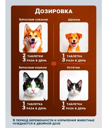 waka Beer yeast for dogs with gray 2 units. 80 TB - Buy Online on GoSupps.com