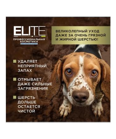 AVZ Shampoo for deep cleaning of wool 5 liters - Buy Online on GoSupps.com