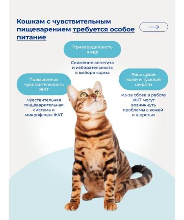 Jarvi elaman Dry food for cats with sensitive digestion 1.5 kg - Buy Online on GoSupps.com