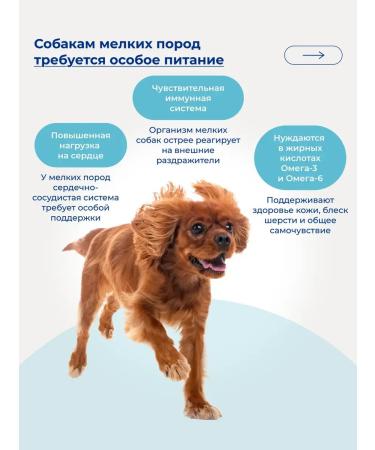 Jarvi elaman Monoprotein dry food holistic for small dogs 400 g - Buy Online on GoSupps.com