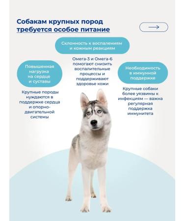 Jarvi elaman Dry food holistic for dogs of medium and large breeds 800 g - Buy Online on GoSupps.com