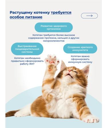 Jarvi elaman Monoprotein dry food holistic for kittens turkey 1.5 kg - Buy Online on GoSupps.com