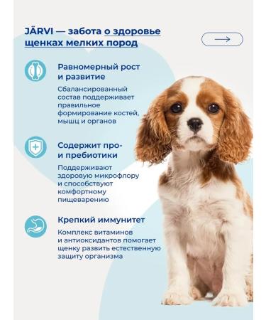 Jarvi elaman Dry food Holistic for puppies of small breeds turkey 400 g - Buy Online on GoSupps.com