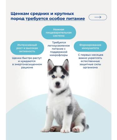 Jarvi elaman Dry food holistic for puppies of medium and large breeds 400g - Buy Online on GoSupps.com