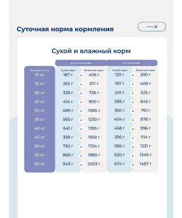 Jarvi elaman Dry food holistic for puppies of medium and large rocks 1.5 kg - Buy Online on GoSupps.com