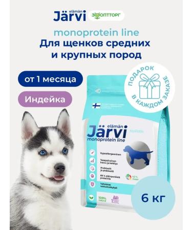 Jarvi elaman Dry food Holistic for Middle and Large Puppies 6 kg