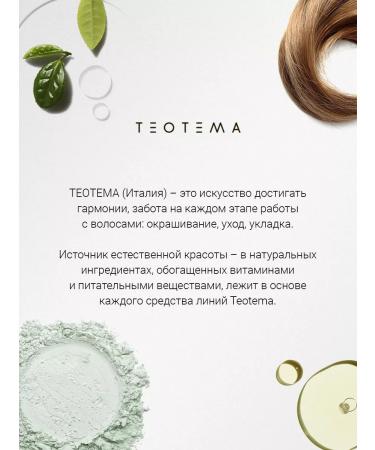THEOTEMA Shampoo to neutralize orange shades - Buy Online on GoSupps.com
