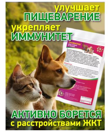 BioHelper Probiotic for dogs and cats 100 grams