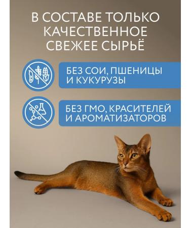 Marly&Molly Dry food for sterilized cats salmon 1.5 kg - Buy Online on GoSupps.com