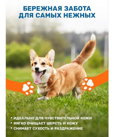 ZOORIK Shampoo and soap for dogs and cats with panthenol 2*400 - Buy Online on GoSupps.com