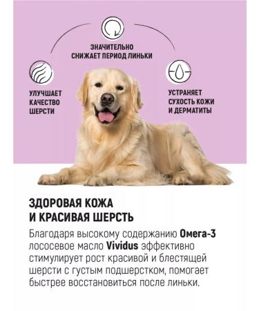 Vividus Fridge additive for animals of wild salmon oil - 250 ml - Buy Online on GoSupps.com