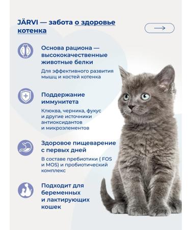 Jarvi elaman Dry food for kittens turkey 800 g - Buy Online on GoSupps.com