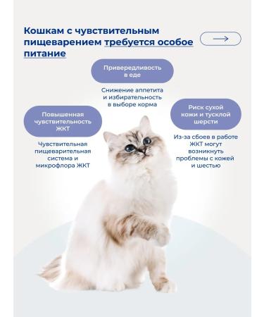 Jarvi elaman Dry food for cats with sensitive digestion 800 g - Buy Online on GoSupps.com