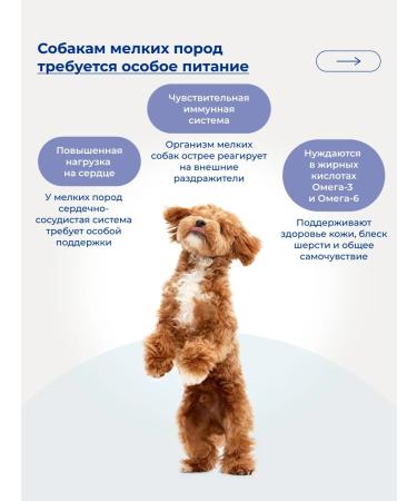 Jarvi elaman Dry food for dogs of small breeds beef 3 kg - Buy Online on GoSupps.com