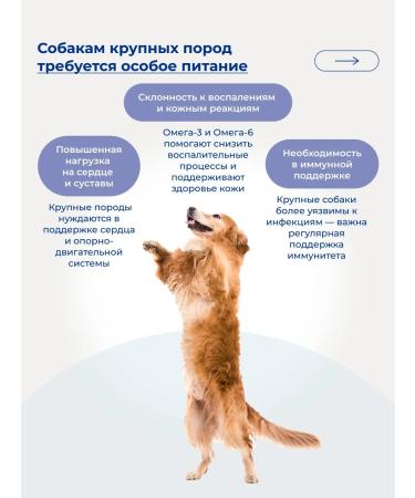 Jarvi elaman Dry food for dogs of medium and large breeds beef 800g - Buy Online on GoSupps.com