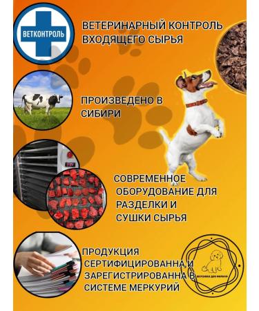 Delicious treats for the cutie Tailure of the spleen of beef for dogs 500 - Buy Online on GoSupps.com