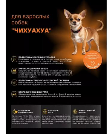QUATTRO Dry food for dogs of the sushuahua breed with a turkey 2.5 kg - Buy Online on GoSupps.com