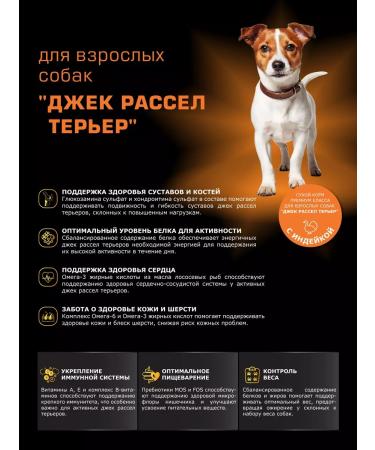 QUATTRO Dog food for dogs Jack Russell Terrier turkey 800 g - Buy Online on GoSupps.com