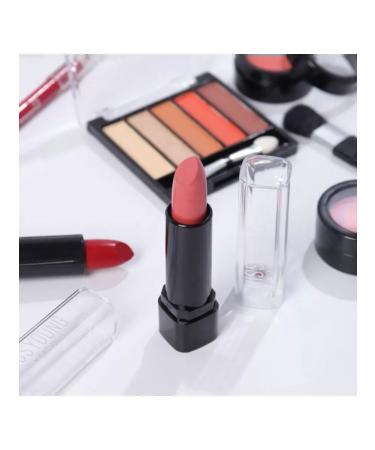 In Mother's Hands A set of professional makeup cosmetics No. 9 - Buy Online on GoSupps.com