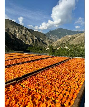 Grain of the Mountains Kuraga mountain-sour-sour from the mountains of Dagestan Harvest 2025 - Buy Online on GoSupps.com