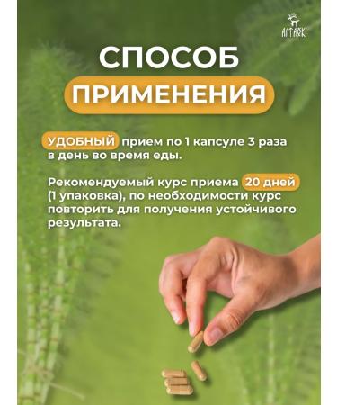 Altai Horsetail field extract in capsules - Buy Online on GoSupps.com