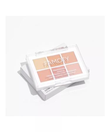 Glitter gulch Palette of concealers 6 shades for makeup