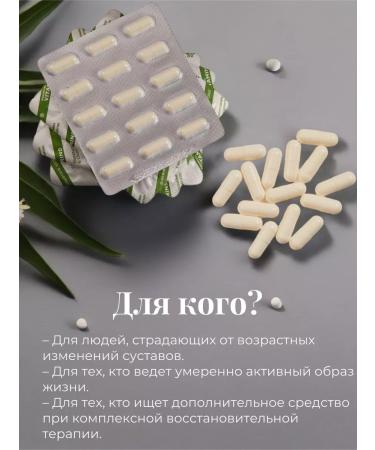 HEALTH Glucosamine and chondroitin 2 - Buy Online on GoSupps.com