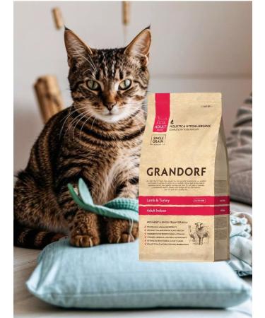Grandorf Dry food for domestic cats lambs and turkey 2kg - Buy Online on GoSupps.com