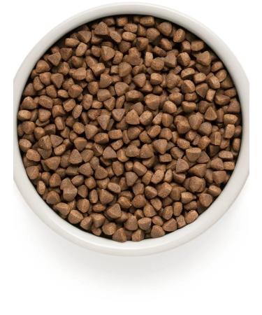 Grandorf Dry food for domestic cats lambs and turkey 2kg - Buy Online on GoSupps.com
