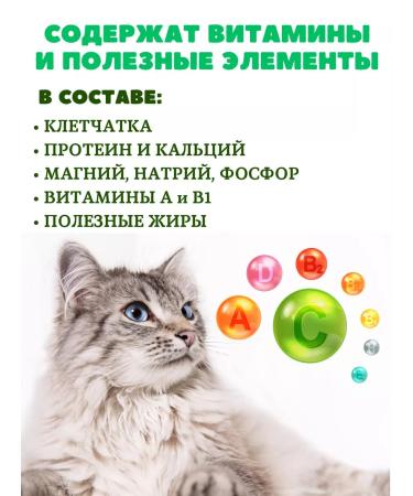 beaphar Catnip bits vitamins - Buy Online on GoSupps.com