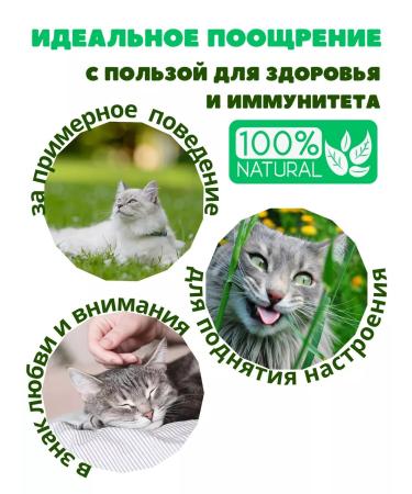 beaphar Catnip bits vitamins - Buy Online on GoSupps.com