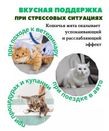 beaphar Catnip bits vitamins - Buy Online on GoSupps.com