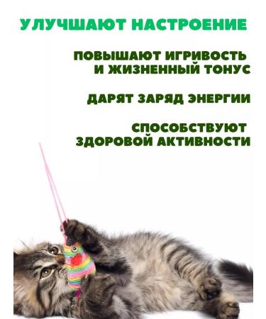 beaphar Catnip bits vitamins - Buy Online on GoSupps.com