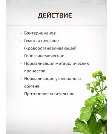 Sage Cuff ordinary grass 2 pcs. Healing herbs - Buy Online on GoSupps.com