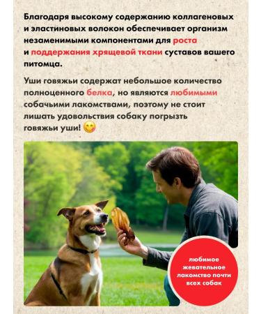 GRIZGO Beef ears 10pcs long -playing - Buy Online on GoSupps.com