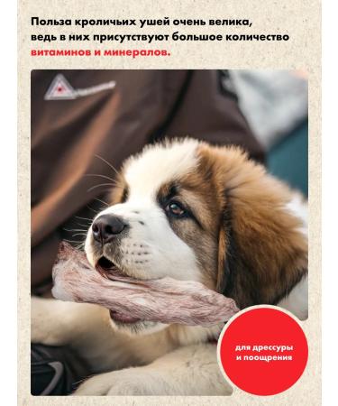 GRIZGO Rabbit ears dried natural 200 grams - Buy Online on GoSupps.com