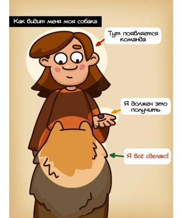 GRIZGO Light XS for training 1 1 cm 100 grams of treats - Buy Online on GoSupps.com