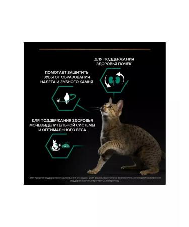 PRO PLAN Sterilated Renal plus food for cats with salmon 400g - Buy Online on GoSupps.com