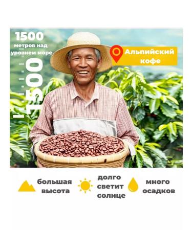 Chinese soluble coffee coconut Latte 6 UP - 2700 g - Buy Online on GoSupps.com